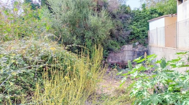 Balearic Islands - Muro - 1082m2