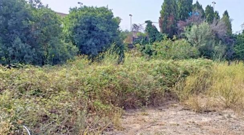Balearic Islands - Muro - 1082m2