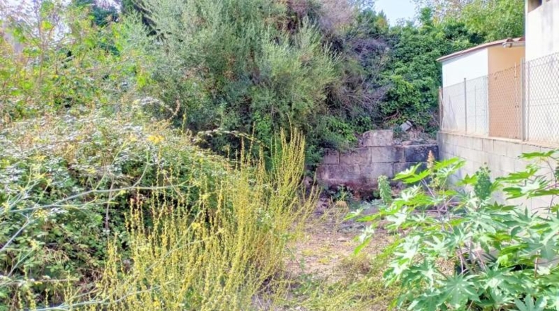 Balearic Islands - Muro - 1082m2