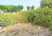 Parcela urbanizable en venta en la España, Muro, ref: TR123364 foto