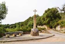 Foto 15