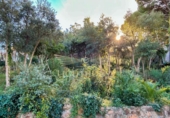 Land suitable for development for sale on España, Lloret de Mar, ref: TR383136 photo
