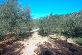Foto 9