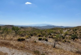 Alboloduy 41800&nbsp;m²