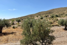 Alboloduy 41800&nbsp;m²