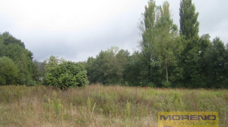 Lugo - Láncara - 8000m2