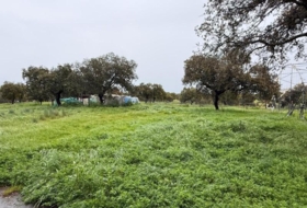 Alcaracejos 23500&nbsp;m²
