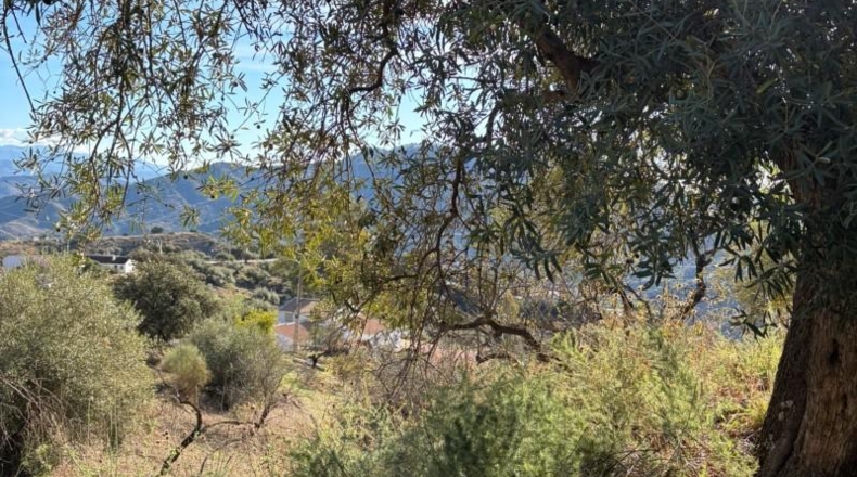 Málaga - Colmenar - 18000m2