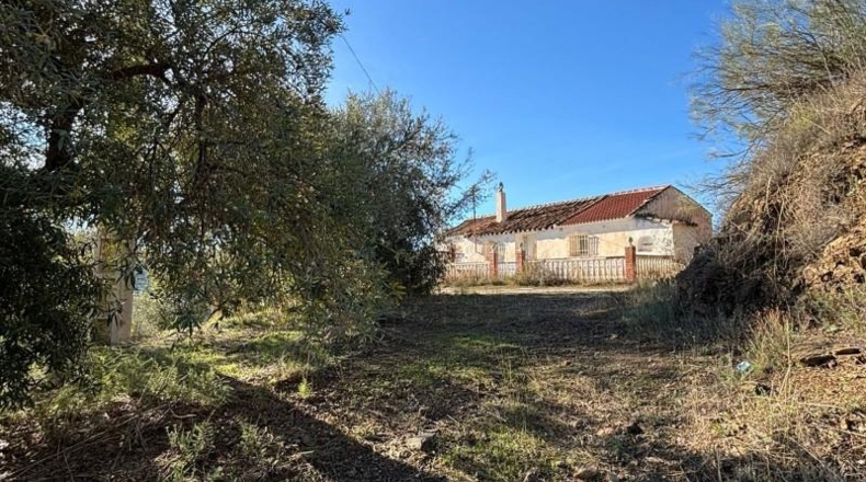 Málaga - Colmenar - 18000m2