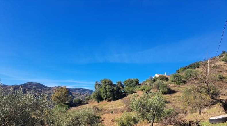 Málaga - Colmenar - 18000m2