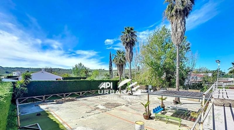 Córdoba - Lucena - 1600m2