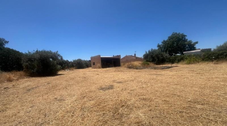 Granada - Alhendín - 5100m2