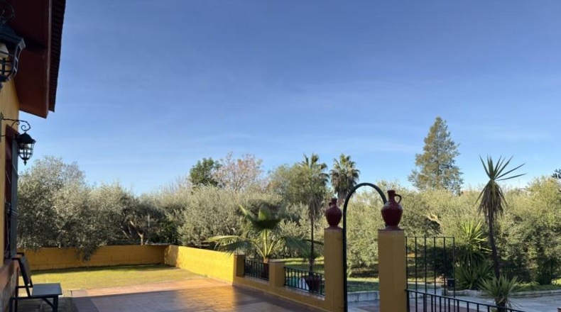 Sevilla - Las Cabezas de San Juan - 2782m2