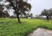Casa de campo con terreno en venta en la España, Alcaracejos, ref: TR409579 foto