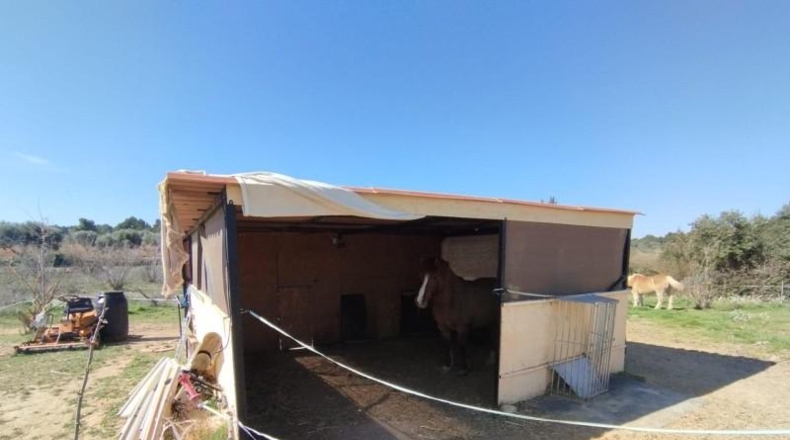 Teruel - Cretas - 26720m2