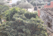 Casa de poble en venda a la España, Sant Joan de Moró, ref.: TR293396 foto