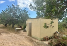 Tortosa 25462&nbsp;m²