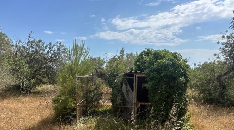 Tarragona - Tortosa - 25462m2