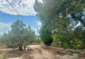 Casa de camp amb terreny en venda a la España, Tortosa, ref.: TR412728 foto