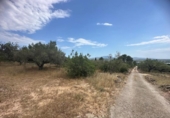 Casa de camp amb terreny en venda a la España, Tortosa, ref.: TR412728 foto