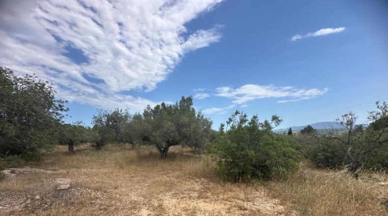 Tarragona - Tortosa - 25462m2