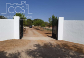 Chalet independiente con terreno en venta en la España, Almonte, ref: TR386927 foto