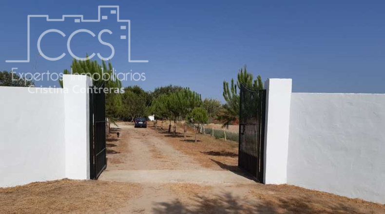 Huelva - Almonte - 8000m2