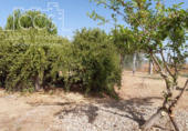 Chalet independiente con terreno en venta en la España, Almonte, ref: TR386927 foto