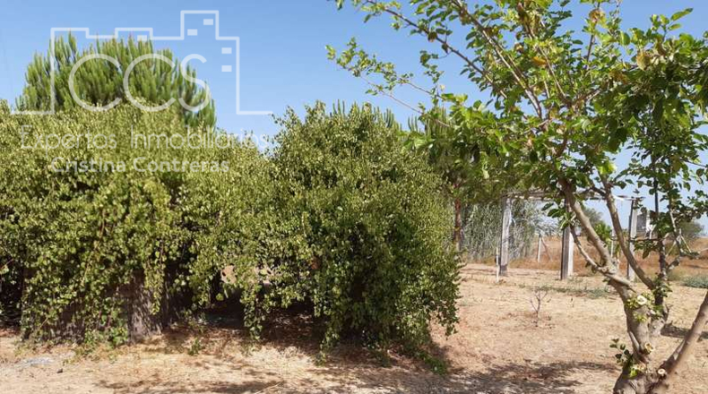 Huelva - Almonte - 8000m2