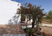 Chalet independiente con terreno en venta en la España, Almonte, ref: TR386927 foto