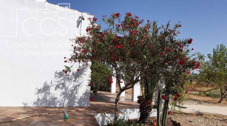 Huelva - Almonte - 8000m2