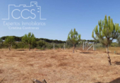 Chalet independiente con terreno en venta en la España, Almonte, ref: TR386927 foto