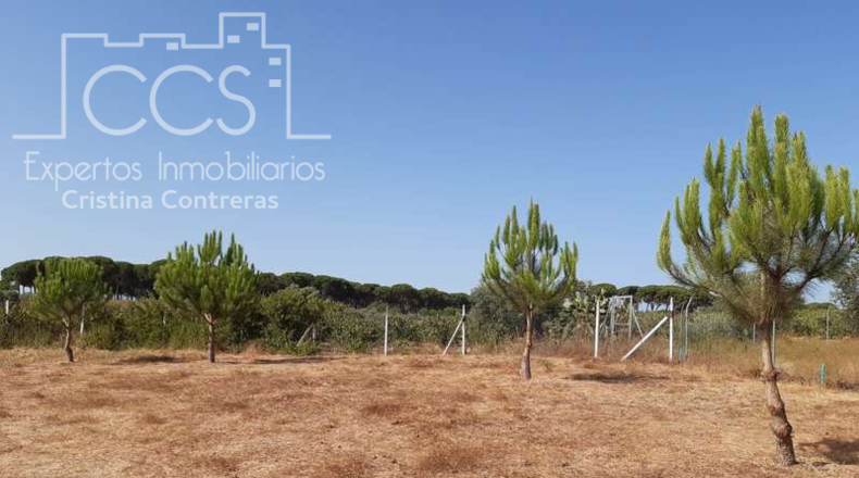 Huelva - Almonte - 8000m2