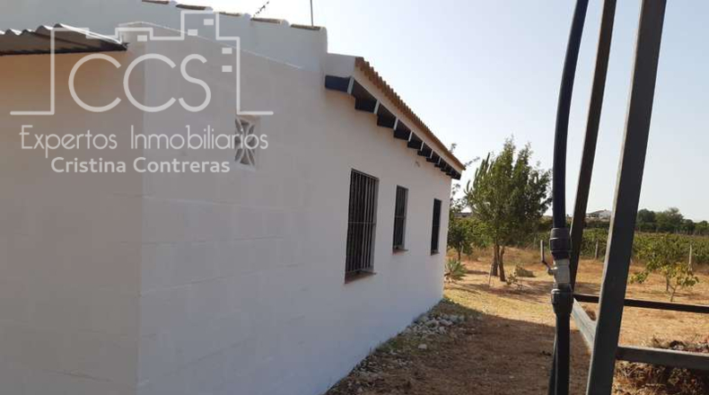 Huelva - Almonte - 8000m2