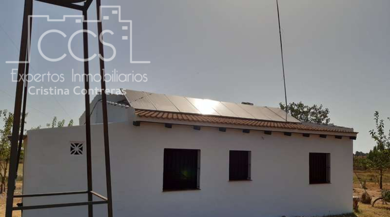 Huelva - Almonte - 8000m2