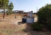 Chalet independiente con terreno en venta en la España, Almonte, ref: TR386927 foto