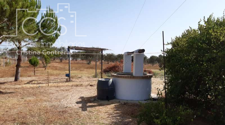 Huelva - Almonte - 8000m2