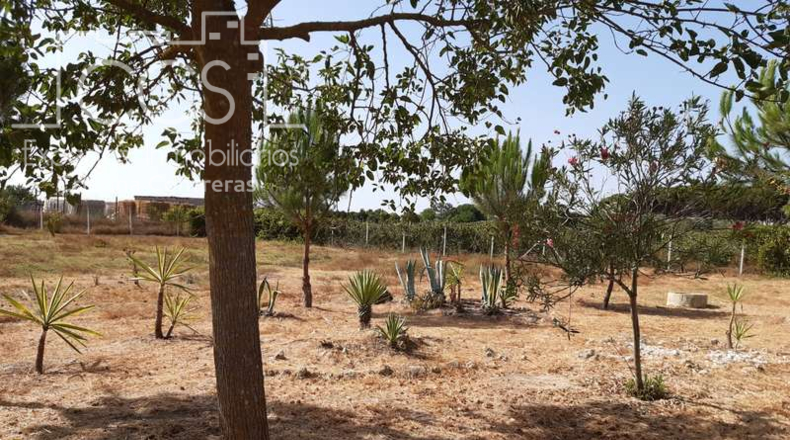 Huelva - Almonte - 8000m2