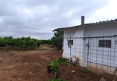 House with land for sale on España, Vinaròs, ref: TR399607 photo