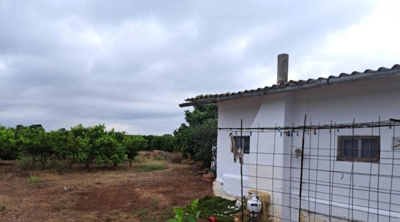 Castellón - Vinaroz - 8500m2
