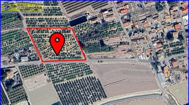 Murcia - Santomera - 8896m2