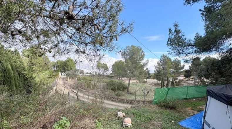 Ciudad Real - Puebla de Don Rodrigo - 2000m2