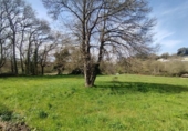 Suelo urbano en venta en la España, Lugo, ref: TR375955 foto