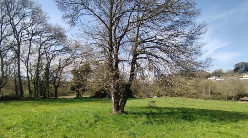 Lugo - Vilagoncide - 3672m2