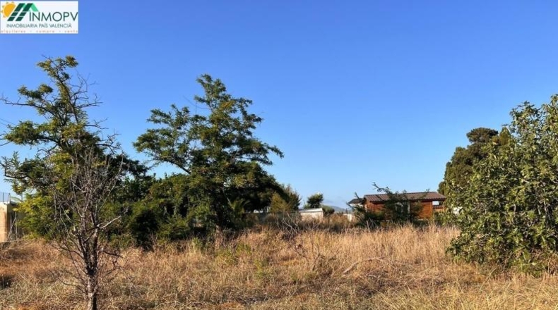 Castellón - Vinaroz - 2000m2