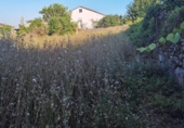 Chalet independiente con terreno en venta en la España, A Guarda, ref: TR357753 foto