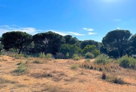 Chiclana de la Frontera 760&nbsp;m² 