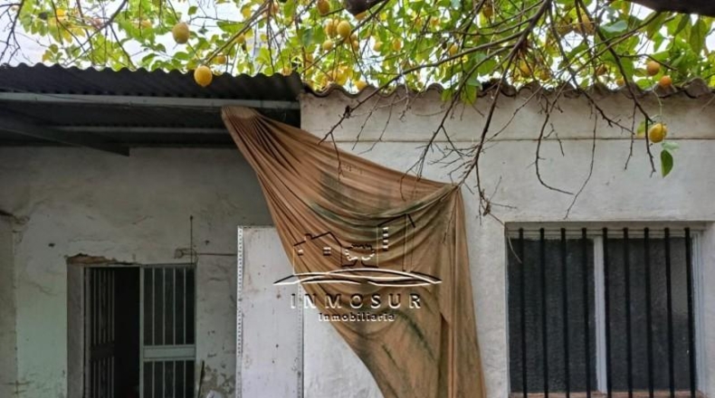 Cordova - Lucena - 272m2