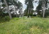 Parcela urbanizable en venta en la España, Ontinyent, ref: TR319377 foto