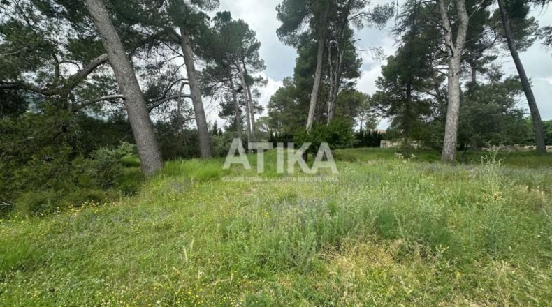 Valencia - Onteniente - 3292m2